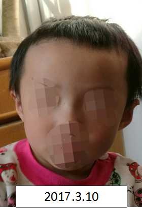 插入骚逼免费观看